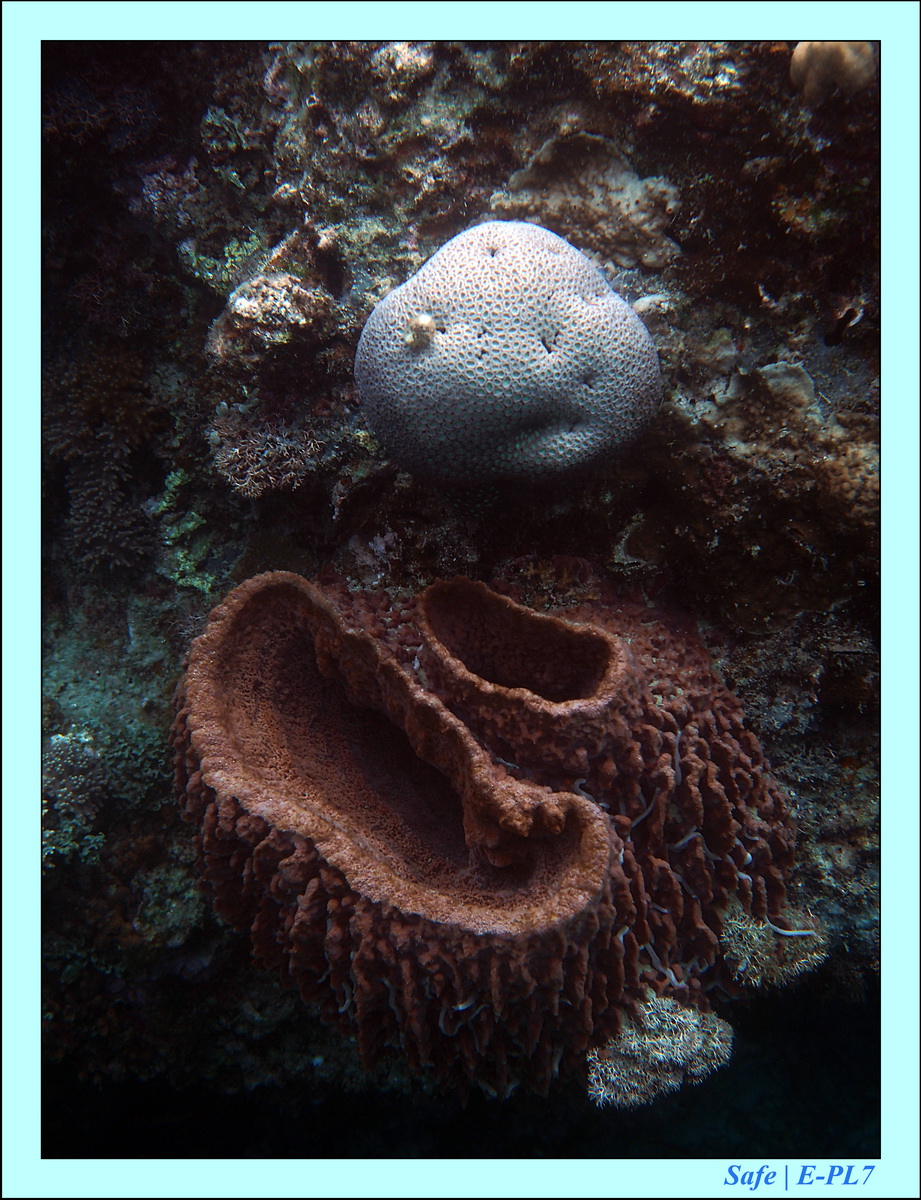 2016 - 07 - Leng Tengah - 027